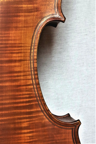Cello lab selva - lab., "g.