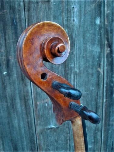 Cello alt old - old,