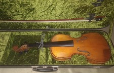 Geige Violine Antik Sammler