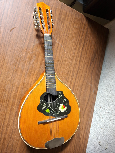 Mandoline musikinstrument - mandoline,