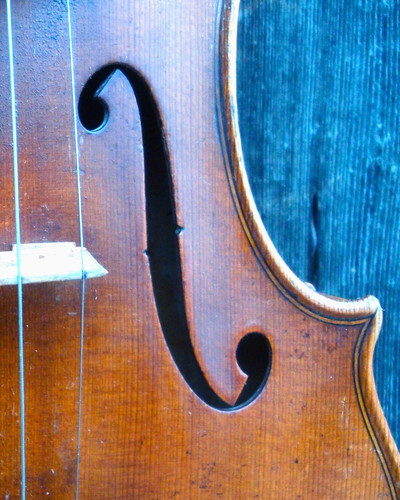Schmidt guarneri - r.,