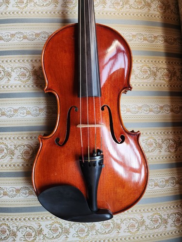 Schöne viola cm satter - viola,, cm,