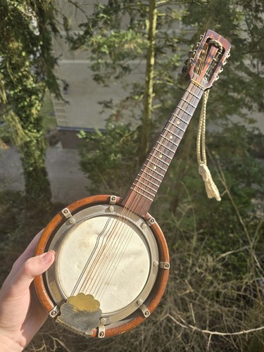 Vintage string banjo - vintage,
