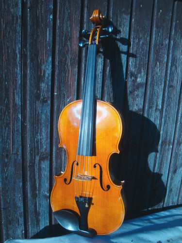 Imposante viola bratsche 42 - imposante,